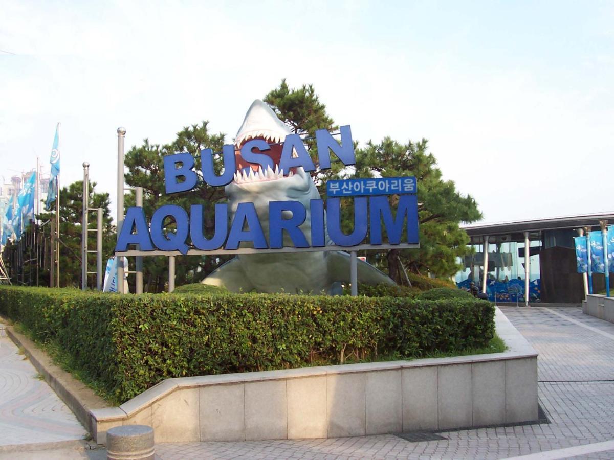 Haeundae Luxury House Apartment Busan Bagian luar foto